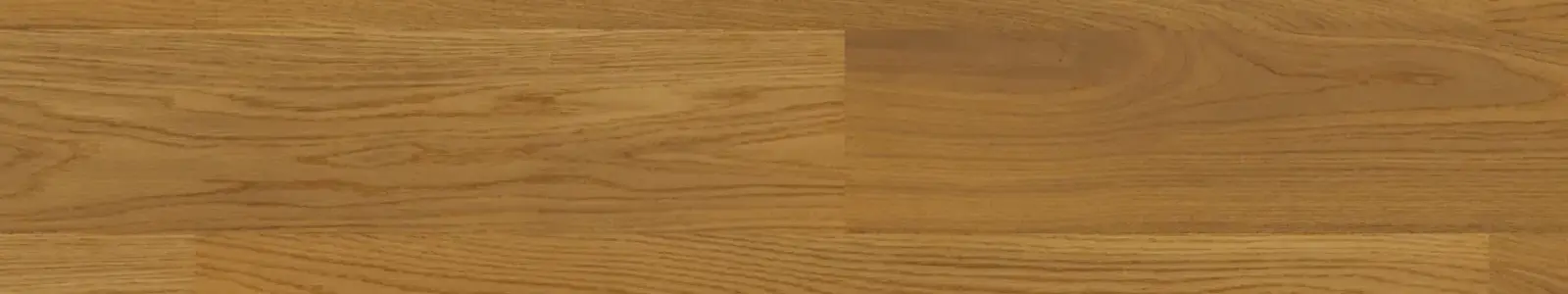 Jangal Spiga upside view