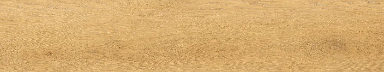 Plank upside view