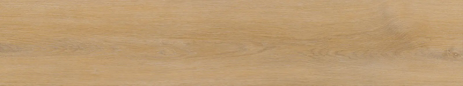Plank upside view