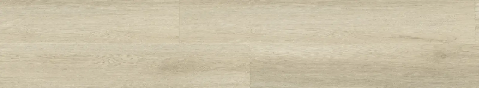Plank upside view