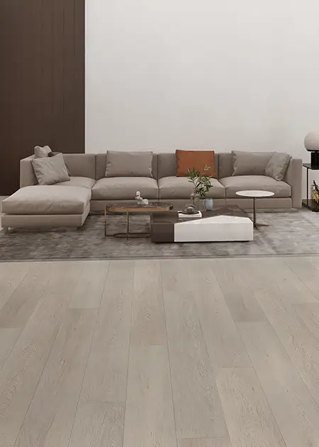 Omnia standard collection